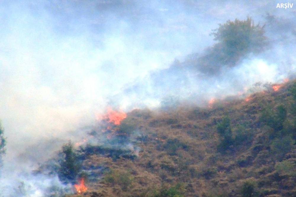 Çanakkale ve Muğla'da orman yangını 